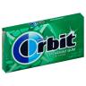 SPEARMINT GUM SINGLE